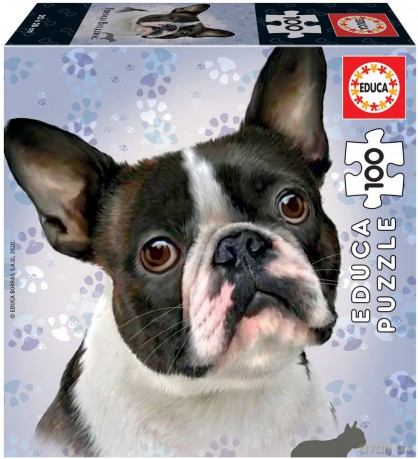 EDUCA 100 el. Psy - Buldog francuski [PUZZLE]