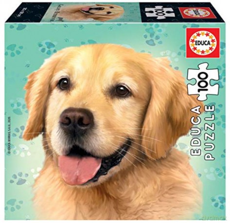EDUCA 100 el. Psy - Golden retriever [PUZZLE]