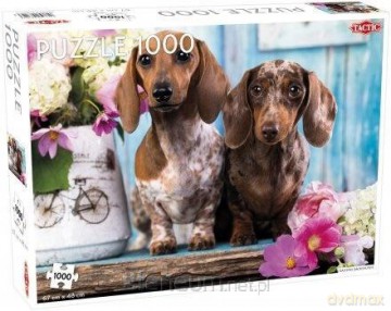 TACTIC 1000 el. Dashing Dachshunds [PUZZLE]