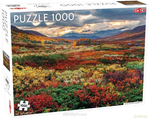 TACTIC 1000 el. Indian Summer in Norrbotten [PUZZLE]