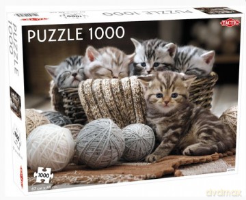 TACTIC 1000 el. Małe kotki [PUZZLE]