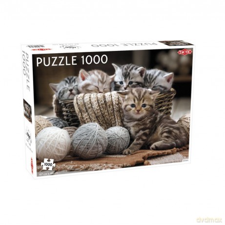 TACTIC 1000 el. Małe kotki [PUZZLE]