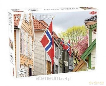 TACTIC 1000 el. Street in Bergen [PUZZLE]