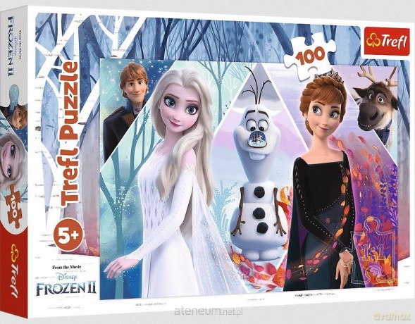TREFL 100 el. Zaczarowana Kraina [PUZZLE]