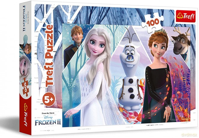 TREFL 100 el. Zaczarowana Kraina [PUZZLE]