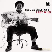 Big Joe Williams: I Got Wild [CD]
