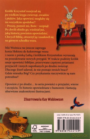 Opowiem ci po drodze. O dzielnym Dawidzie i inne historie z Biblii - Avril Rowlands [KSIĄŻKA]