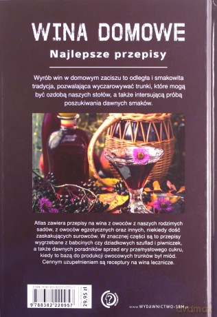Wina domowe. 100 najlepszych przepisów - Łukasz Fiedoruk [KSIĄŻKA]