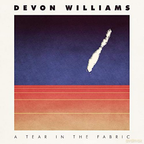 Devon Williams: A Tear In The Fabric [Winyl]