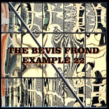 Bevis Frond: Example 22 [CD]