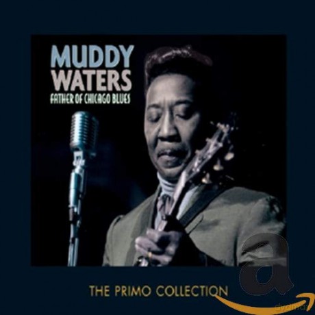 Muddy Waters: Father Of Chicago Blues [2CD]