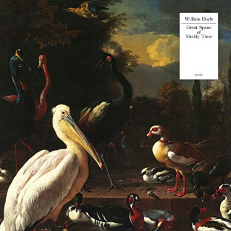 William Doyle: Great Spans Of Muddy Time [CD]