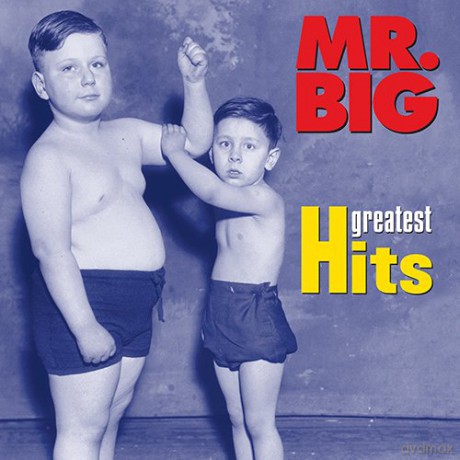 Mr. Big: Greatest Hits [CD]