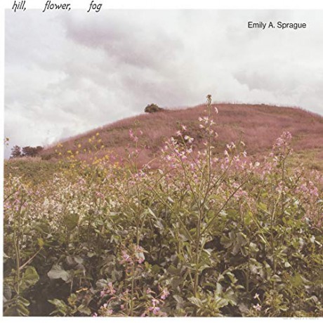 Emily A. Sprague: Hill. Flower. Fog [Winyl]