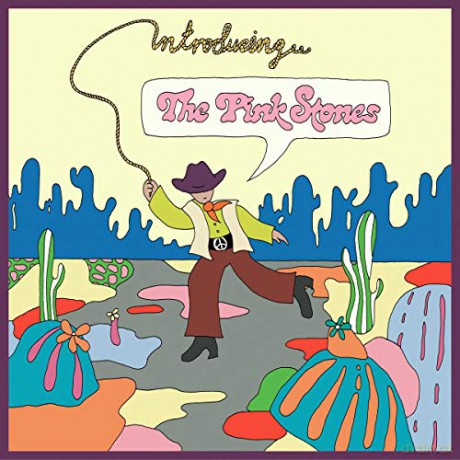 Pink Stones: Introducing... The Pink Stones [CD]