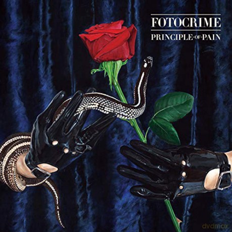 Fotocrime: Principle Of Pain [CD]