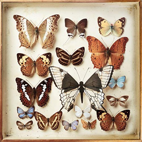 Emiliana Torrini: Rarities [4xWinyl]