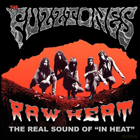 Fuzztones: Raw Heat [Winyl]