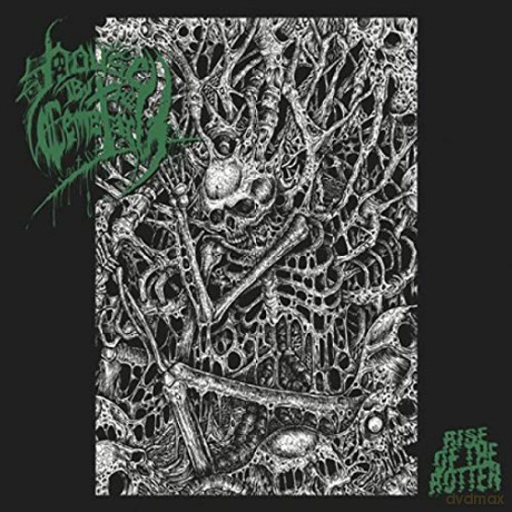 House By The Cemetary: Rise Of The Rotten [CD]