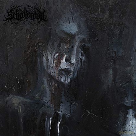 Schattenfall: Schatten In Schwarz (Limited) [Winyl]