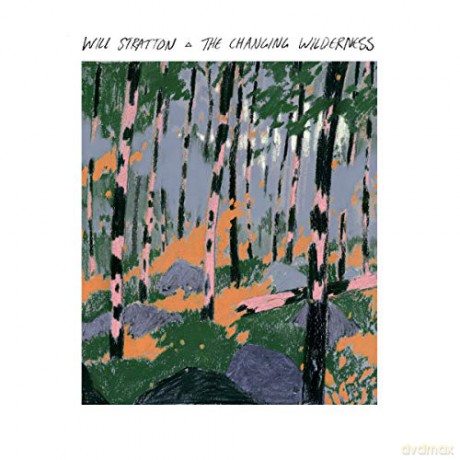 Will Stratton: The Changing Wilderness [CD]