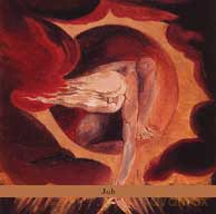 Naftule's Dream: Job [CD]