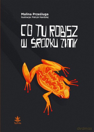 Co tu robisz w środku zimy - Malina Prześluga, Patryk Hardziej [KSIĄŻKA]