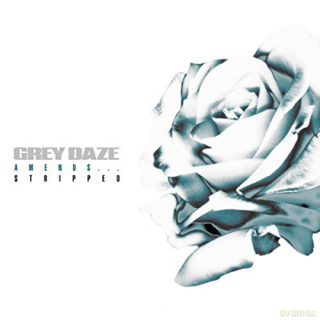 Grey Daze: Amends Stripped [Winyl]