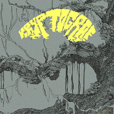Kryptograf: Kryptograf [CD]