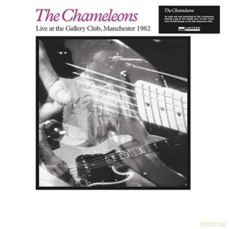 Chameleons: Live At The Gallery Club [Winyl]