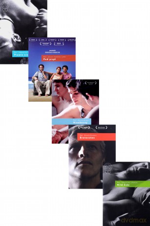 Rainbow Collection l'homme: Prawie nic/ Pod prąd/ Nieobecny/ Braterstwo/ Wilde Side [BOX] [5DVD]