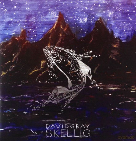David Gray: Skellig [CD]