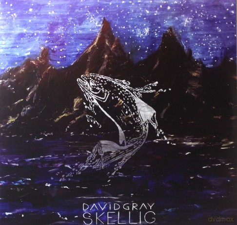 David Gray: Skellig [2xWinyl]