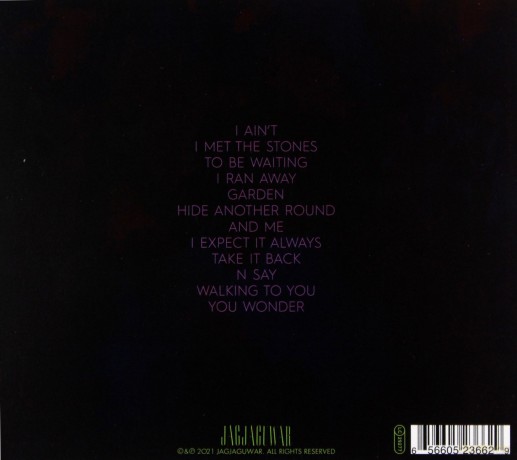 Dinosaur Jr.: Sweep It Into Space [CD]