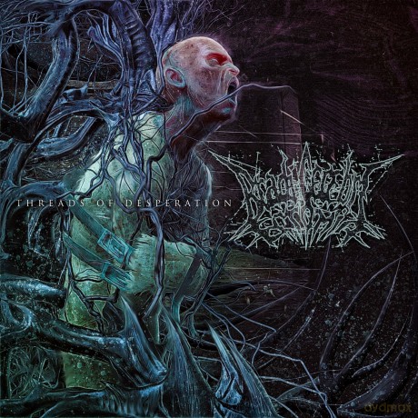 Bradi Cerebri Ectomia: Threads Of Desperation [CD]