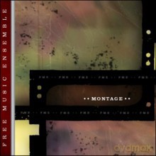 FME (Free Music Ensemble): Montage [2CD]
