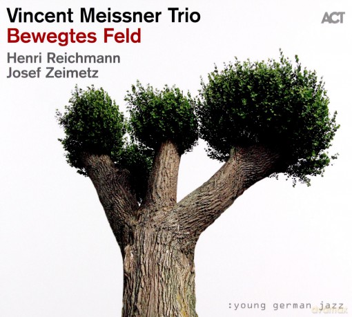 Vincent Meissner Trio: Bewegtes Feld [CD]