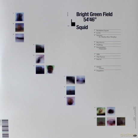 Squid: Bright Green Field (Limited) [Winyl]