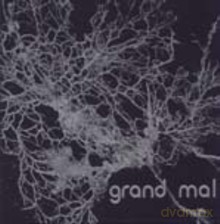 Kyle Bruckmann, Ernesto Diaz-Infante, John Shiurba, Karen Stackpole: Grand Mal [CD]