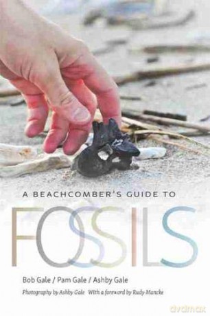 A Beachcomber's Guide to Fossils: 36 (Wormsloe Foundation Nature Book Series) - Pam Gale Bob Gale [KSIĄŻKA]