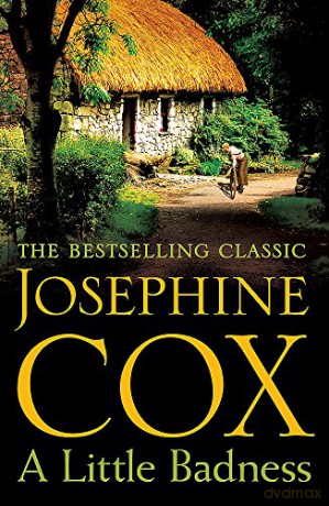 A Little Badness: An irresistible and wildly romantic saga - Josephine Cox [KSIĄŻKA]