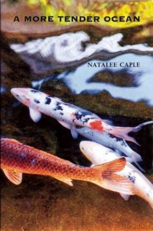 A More Tender Ocean - Natalee Caple [KSIĄŻKA]