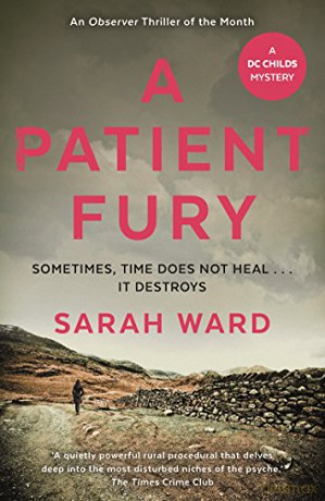 A Patient Fury (DC Childs mystery) - Sarah Ward [KSIĄŻKA]