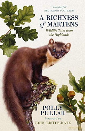 A Richness of Martens: Wildlife Tales from Ardnamurchan: Wildlife Tales from the Highlands [KSIĄŻKA]