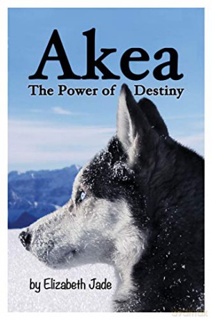 Akea. The Power of Destiny [KSIĄŻKA]