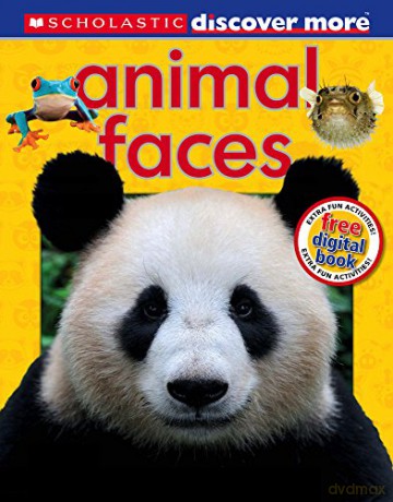Animal Faces (Discover More) - Penny Arlon [KSIĄŻKA]