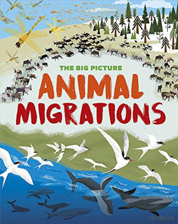 Animal Migrations (The Big Picture) - Jon Richards [KSIĄŻKA]