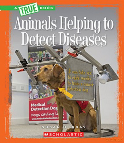 Animals Helping to Detect Diseases (True Book: Animal Helpers) (A True Book: Animal Helpers) [KSIĄŻKA]