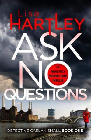 Ask No Questions: A gripping crime thriller with a twist you won't see coming (Detective Caelan Small) [KSIĄŻKA]