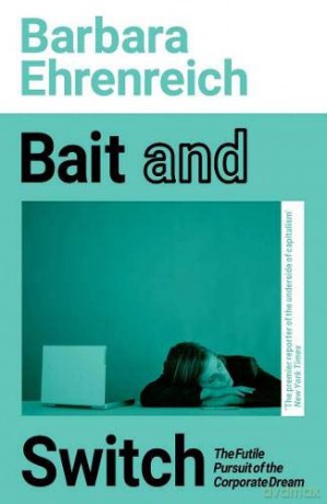 Bait And Switch: The Futile Pursuit of the Corporate Dream [KSIĄŻKA]